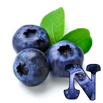 Blueberries-Alpha-2013-N.png