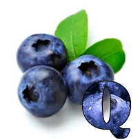 Blueberries-Alpha-2013-Q.png
