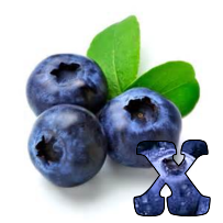Blueberries-Alpha-2013-X.png