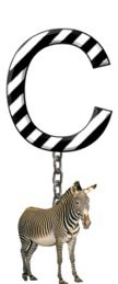 C-Zebra-Charm_ccnan.jpg