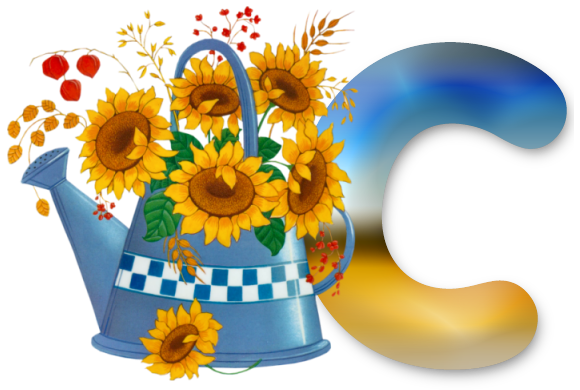 C-lg.png