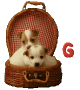 CHIEN-HGHGPHOJHOJHOJHOJH-11.gif