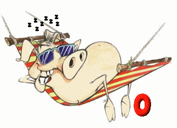 COCHON-OGFODSDSDJGJGFJGF-15.gif