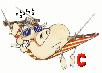 COCHON-OGFODSDSDJGJGFJGF-3.gif