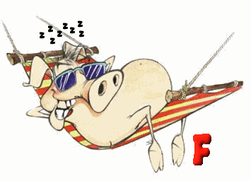 COCHON-OGFODSDSDJGJGFJGF-6.gif