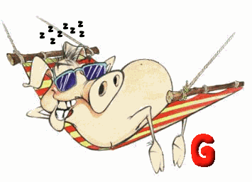 COCHON-OGFODSDSDJGJGFJGF-7.gif