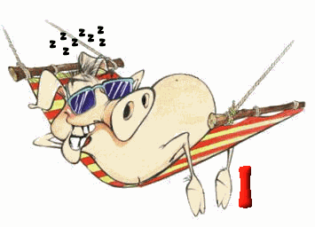 COCHON-OGFODSDSDJGJGFJGF-9.gif