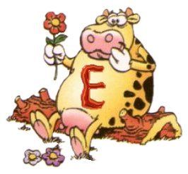 COW-E.jpg