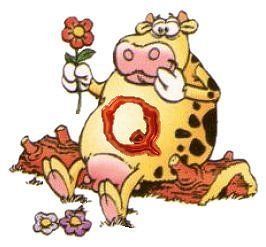 COW-Q.jpg