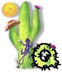 CactiByT-q.jpg