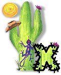 CactiByT-x.jpg