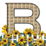 Capital-Letter-B-Sunflwr-Br.png