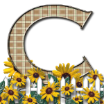 Capital-Letter-C-Sunflwr-Br.png