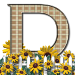 Capital-Letter-D-Sunflwr-Br.png