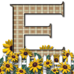 Capital-Letter-E-Sunflwr-Br.png