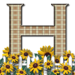 Capital-Letter-H-Sunflwr-Br.png