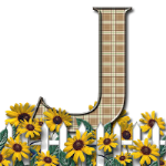 Capital-Letter-J-Sunflwr-Br.png