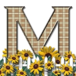 Capital-Letter-M-Sunflwr-Br.png