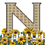 Capital-Letter-N-Sunflwr-Br.png