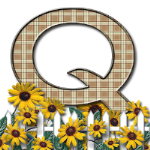 Capital-Letter-Q-Sunflwr-Br.png