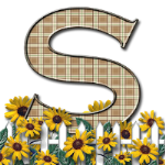 Capital-Letter-S-Sunflwr-Br.png