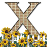 Capital-Letter-X-Sunflwr-Br.png