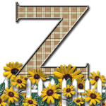 Capital-Letter-Z-Sunflwr-Br.png