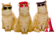 Cattitude-A.gif