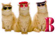 Cattitude-B.gif