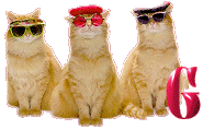 Cattitude-G.gif