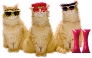 Cattitude-H.gif