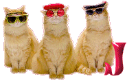 Cattitude-J.gif