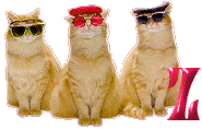 Cattitude-Z.gif