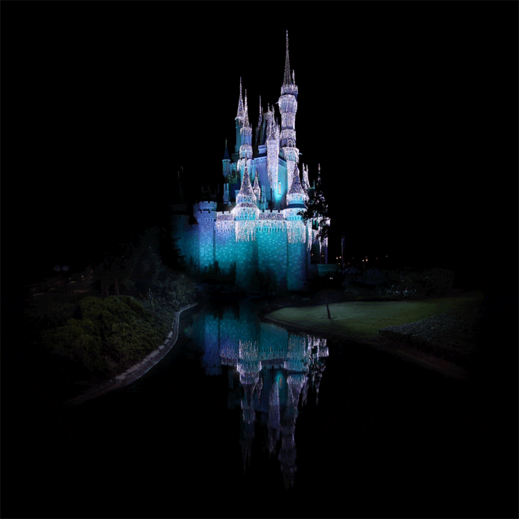 CinderellaCastle750.gif