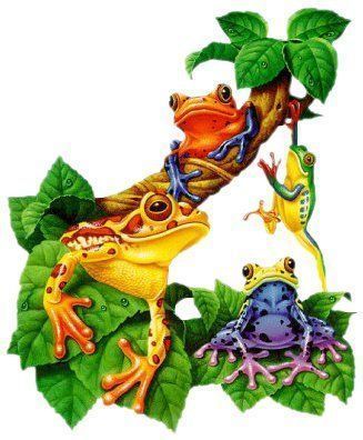 ColorfulTreeFrogs-vi.jpg