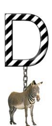 D-Zebra-Charm_ccnan.jpg