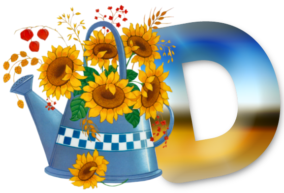 D-lg.png