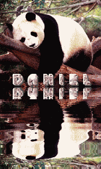 Daniel.gif