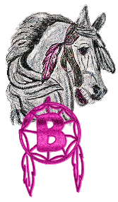 Dreamcatcher-Horse-Alpha-by-iRiS-B.gif