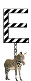 E-Zebra-Charm_ccnan.jpg