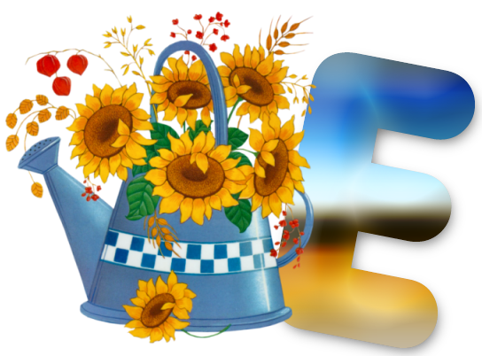 E-lg.png