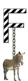 F-Zebra-Charm_ccnan.jpg
