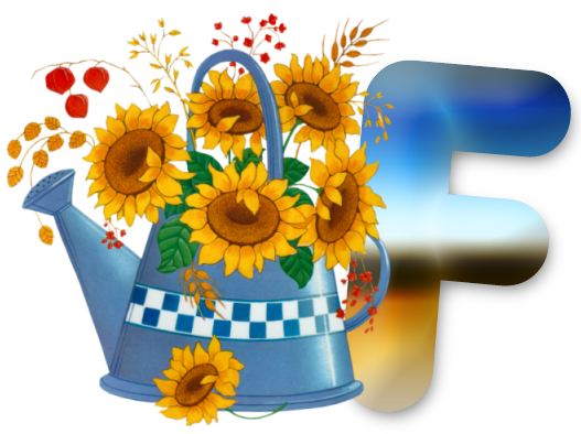 F-lg.png