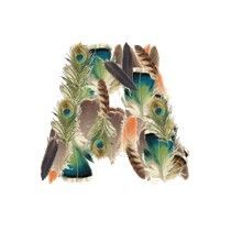 FEATHERS-A.jpg