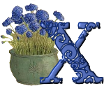 FLEUR-FGOFGFOHOHOHOG-24.png