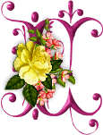 FLEURS-R0RT9Y9GHG-5.gif