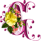 FLEURS-R0RT9Y9GHG-7.gif