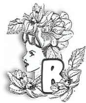 FLORALB.jpg