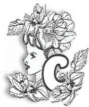 FLORALC.jpg