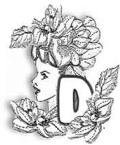 FLORALD.jpg